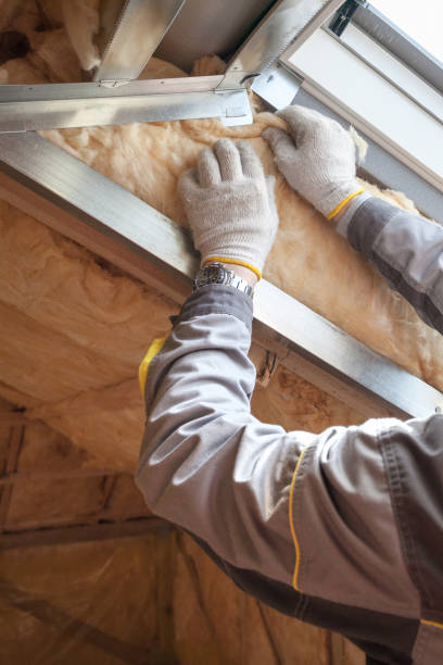 Best Insulation for Specific Applications in Las Vegas, NV