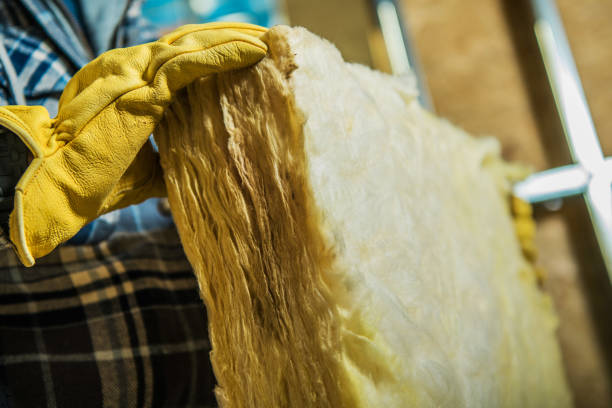 Best Insulation Maintenance and Repair in Las Vegas, NV